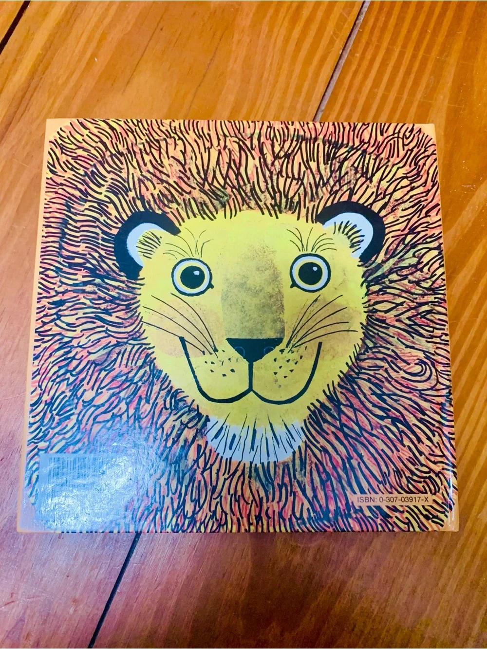 My Counting Book - Lion Cover in Yellow and Orange
